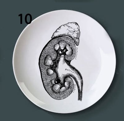 Human bone structure decoration plate